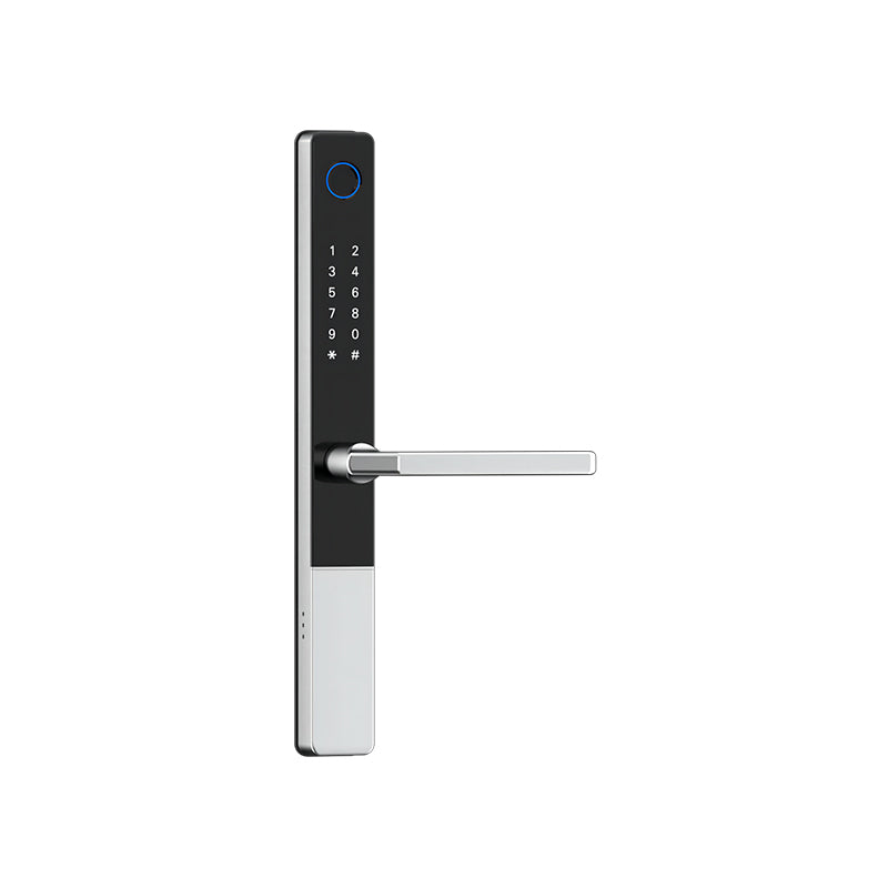 Waterproof Outdoor TUYA Fingerprint Lock RF-D22