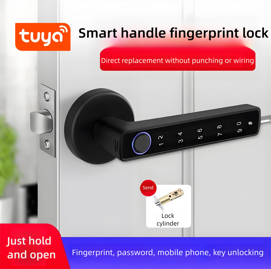 Door handle with fingerprint lock CL-01