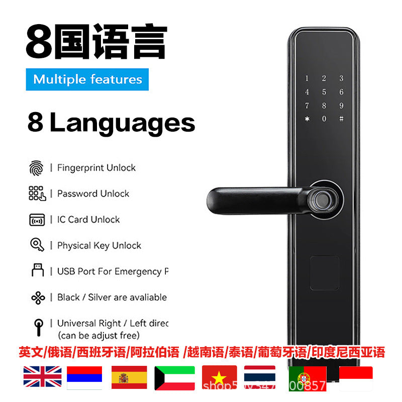 Portuguese-Russian intelligent lock D13