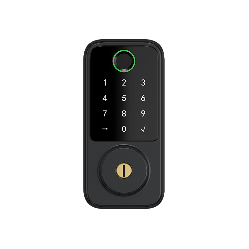 Fingerprint lock DS-06
