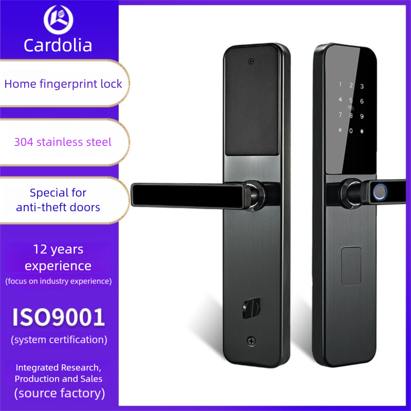Hold The Fingerprint Smart Lock D12Zm-F