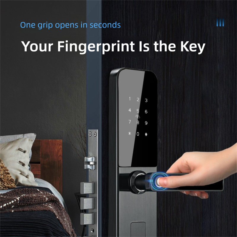 Hold The Fingerprint Smart Lock D12Zm-F