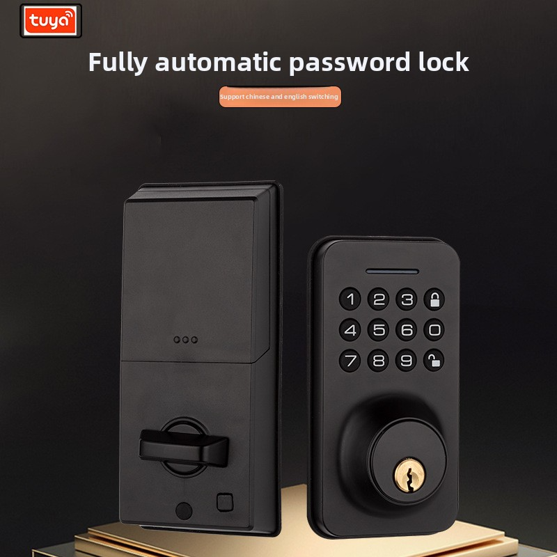 TUYA American lock-up smart card lock WF-X3