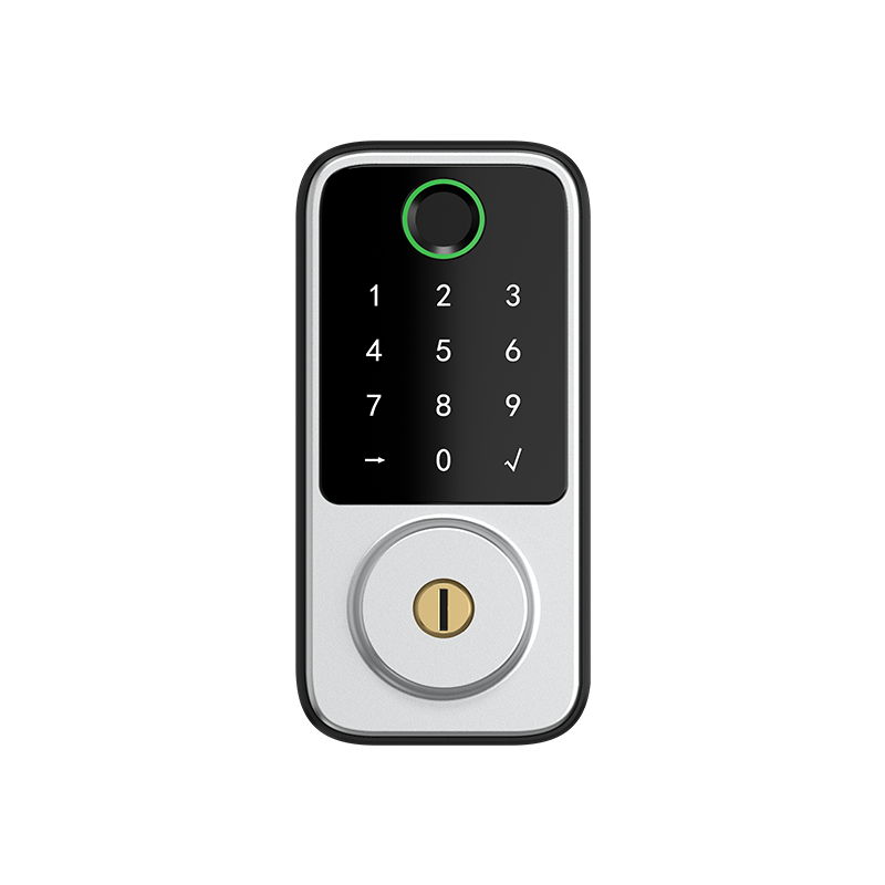 Fingerprint lock DS-06