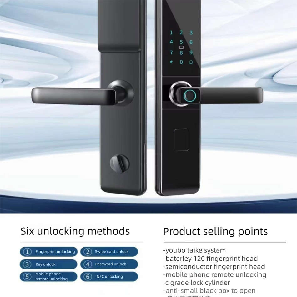 Fully automatic face recognition/fingerprint lock CS7