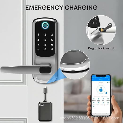 TUYA WI-FI Smart Lock B07